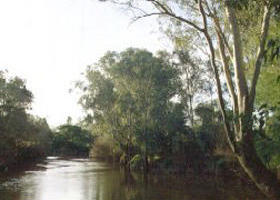 Banksia Park - Attractions 0