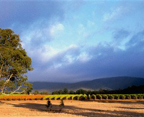 Mount Avoca - Attractions 0