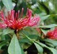 Alfred National Park - Attractions