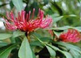 Alfred National Park - Attractions 0