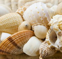 Anglesea Beach Club - Attractions