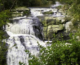 Agnes VIC Attractions
