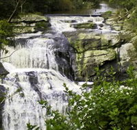 Agnes Falls Scenic Reserve - Attractions