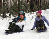 Book Marysville Accommodation Vacations Attractions Attractions