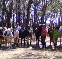 Bellarine Horse Riding Centre - Attractions