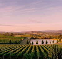 Oakridge Wines - Attractions
