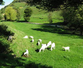 Goats Of Gaia Soap - Attractions 0