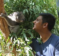 Healesville Sanctuary - Attractions