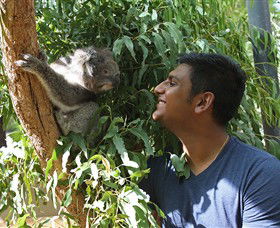 Healesville Sanctuary - Attractions 0
