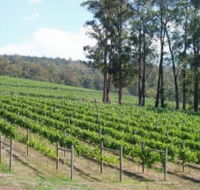 Piedmont Vineyard - Attractions