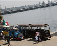 Waterfront Train Tours and Bungy Trampoline