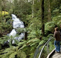 Great Otway National Park - Attractions