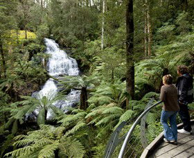 Great Otway National Park - Attractions 0