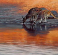 Steve Morvell Wildlife Art - Attractions