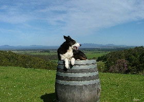 Foster VIC Attractions