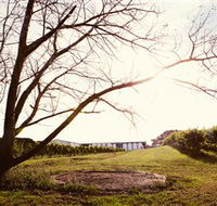 Scotchmans Hill - Attractions