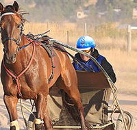 Ballarat  District Trotting Club - Attractions