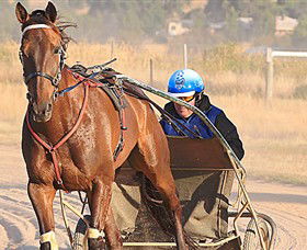 Ballarat & District Trotting Club - Attractions 0
