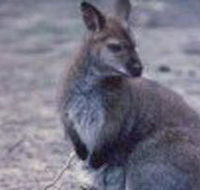 Churchill National Park - Attractions