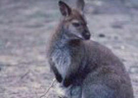 Churchill National Park - Attractions 0