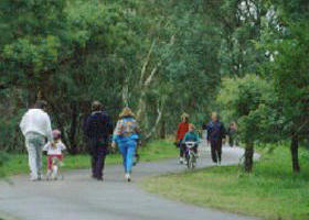 Birrarrung Park - Attractions 0