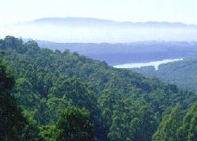 Kalorama VIC Attractions