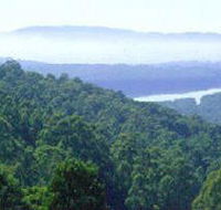 Kalorama Park - Attractions