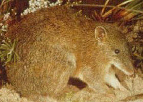 Frankston North VIC See Attractions