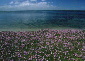 The Lakes National Park - Attractions 0
