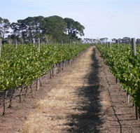 Mount Beckworth Wines - Attractions