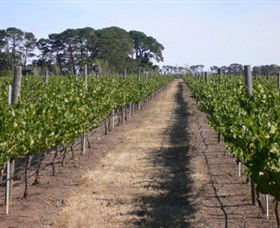 Mount Beckworth Wines - Attractions 0