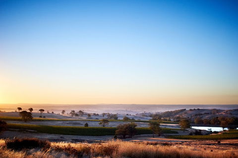 Fowles Wine - Attractions 0