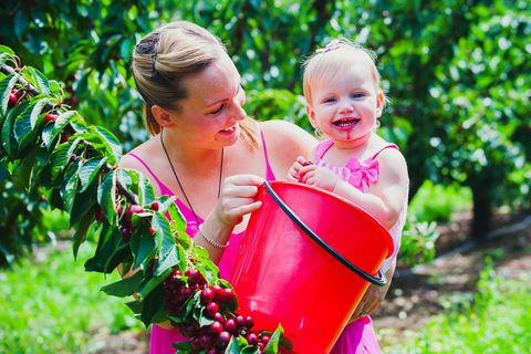 Cherryhill Orchards - Attractions 0