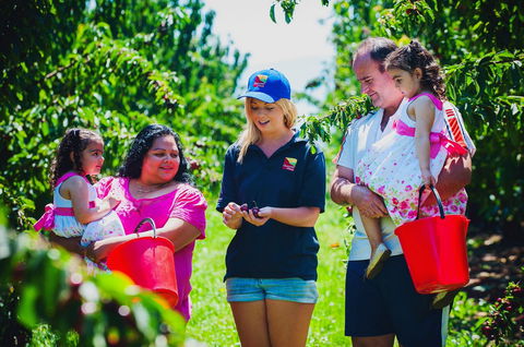 Cherryhill Orchards - Attractions 1