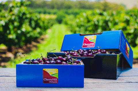 Cherryhill Orchards - Attractions 3