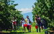 Cherryhill Orchards - thumb 4