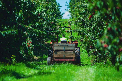 Cherryhill Orchards - Attractions 7