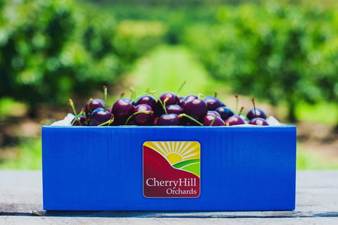 Cherryhill Orchards - Attractions 8