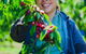 Cherryhill Orchards - thumb 11