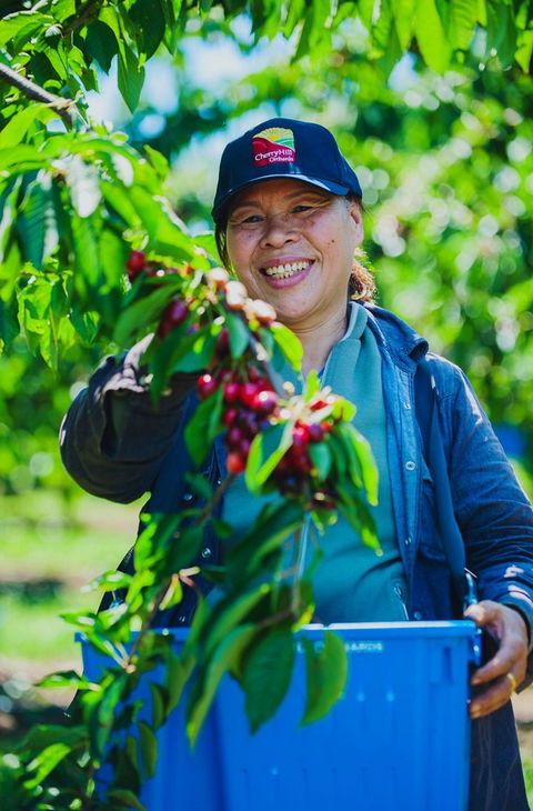 Cherryhill Orchards - Attractions 11