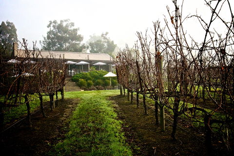 GREENSTONE VINEYARDS - Attractions 4