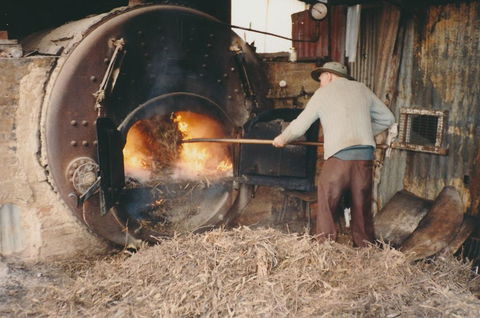 Eucalyptus Distillery Museum - Attractions 2