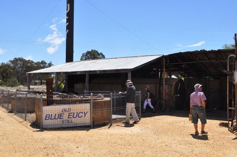 Eucalyptus Distillery Museum - Attractions 3