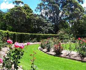Wollongong Botanic Garden - Attractions 0