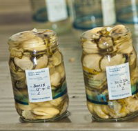 Broadwater Oysters - Attractions