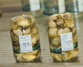 Broadwater Oysters - Attractions 0