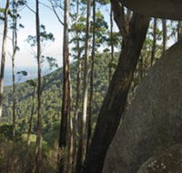 Gulaga National Park - Attractions