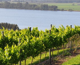 Two Figs Winery - Attractions 0