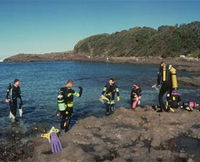 Book Shellharbour Accommodation Vacations Attractions Attractions