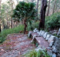 Wodi Wodi Walking Track - Attractions